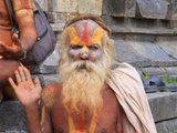 Групповой йога-тур в Керале