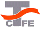 Китайская международная выставка тканей и модной одежды CTFE 2013